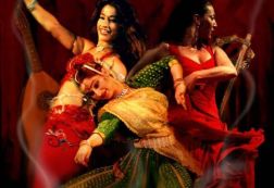 tailor made shows for your event