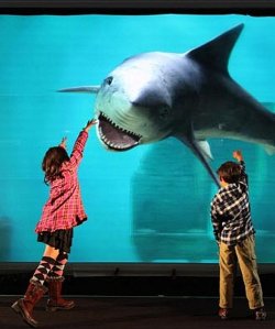 Kinder vor 3D-Projektion